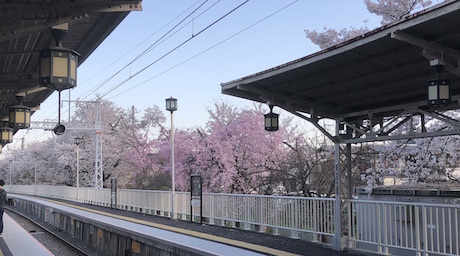 arashiyama.jpg